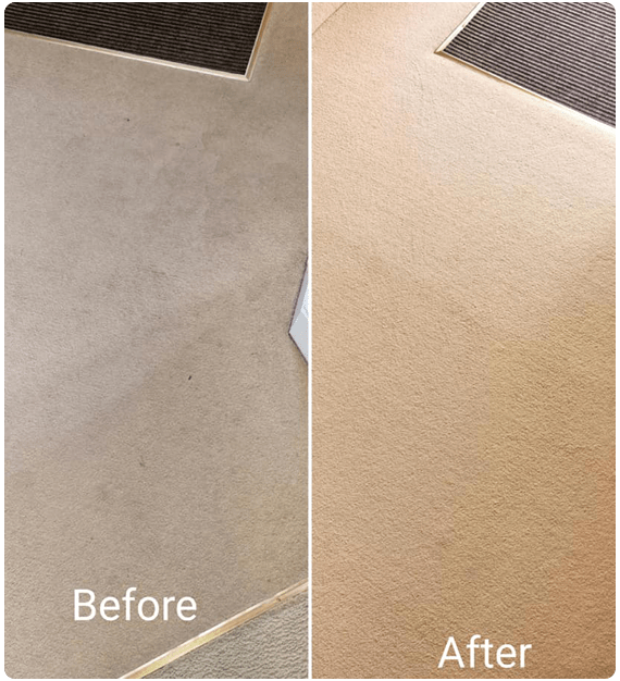 Local carpet cleaning experts